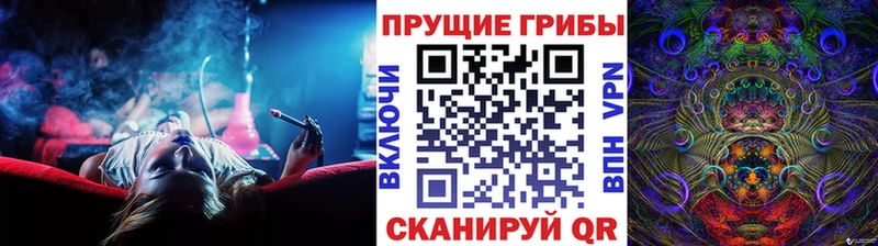 дарнет шоп  Ярцево  Псилоцибиновые грибы прущие грибы 